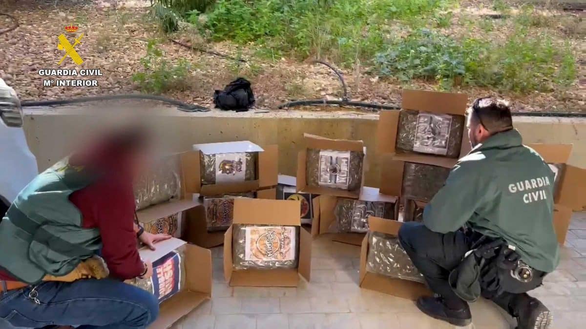 Marihuana encontrada en Utrera en este caso