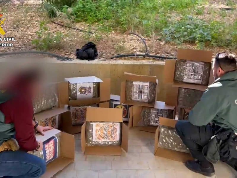 Marihuana encontrada en Utrera en este caso