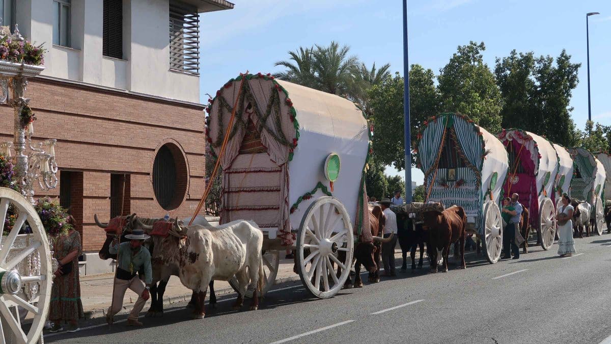 Hermandad de la Macarena volviendo por el cachorro, Laura Barje Díaz