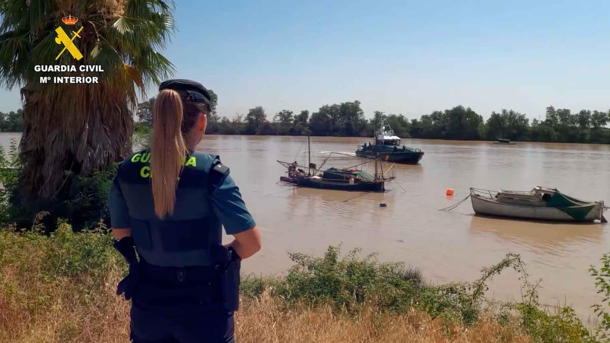 Operación de retirada de anguleras en el Guadalquivir. Guardia Civil