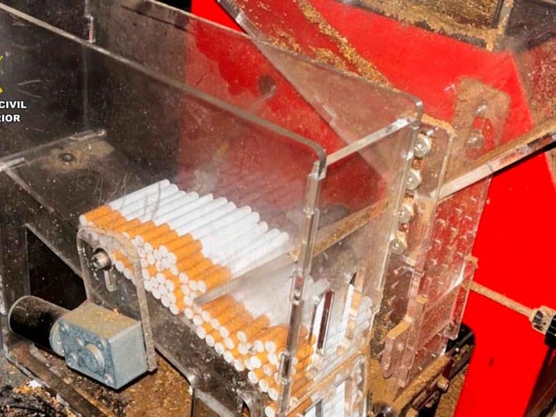 Detenido un matrimonio en La Rinconada por ocultar una plantación de marihuana y tabaco de contrabando. - GUARDIA CIVIL