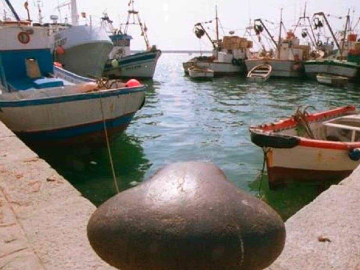 Imagen de pesqueros en Barbate / EP