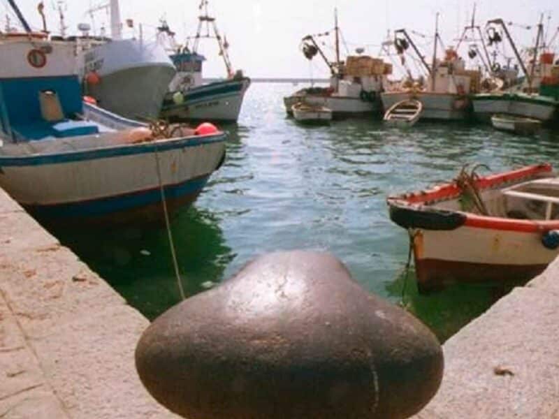 Imagen de pesqueros en Barbate / EP