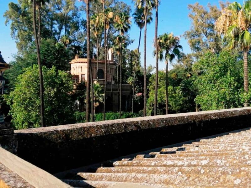 Cubiertas de fibrocemento del CEIP España, ubicado en el Parque de María Luisa. - JUNTA DE ANDALUCÍA