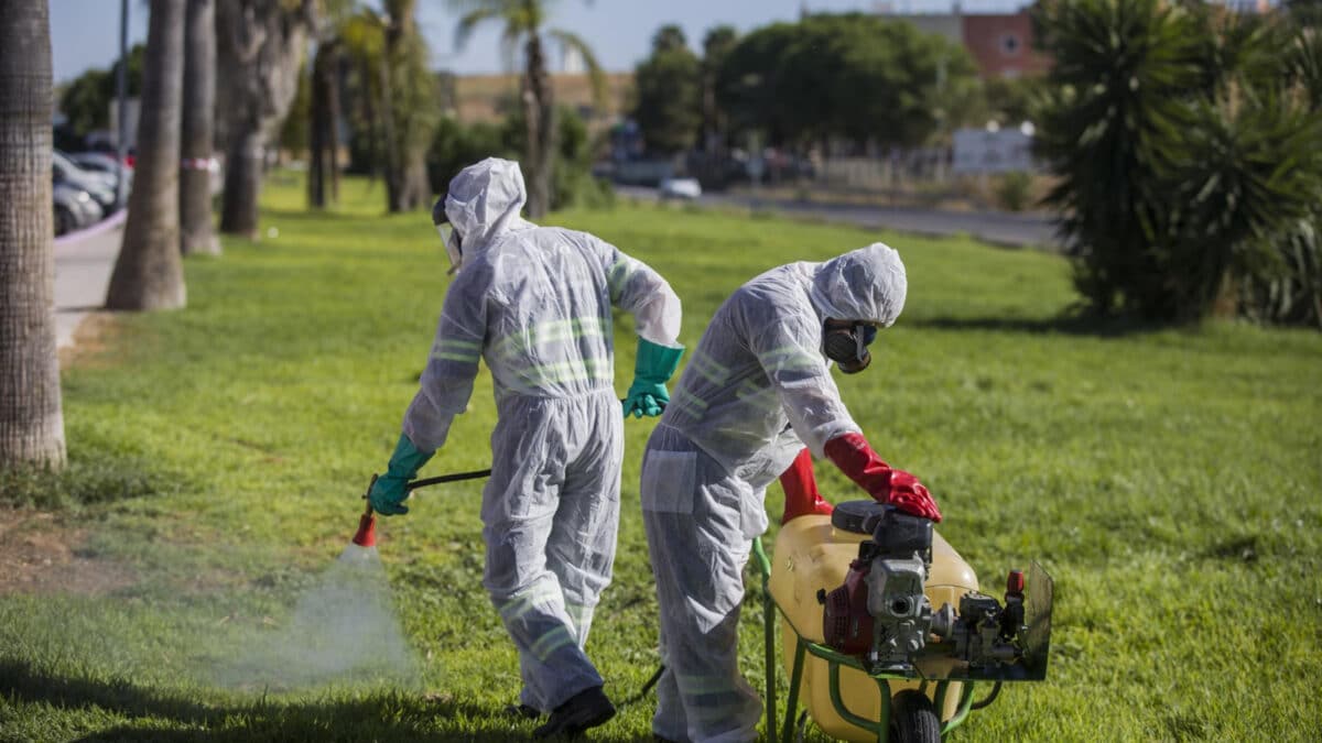 Archivo - Un trabajador durante las labores de fumigación contra los mosquitos causantes del virus del Nilo en Coria del Río - María José López - Europa Press - Archivo