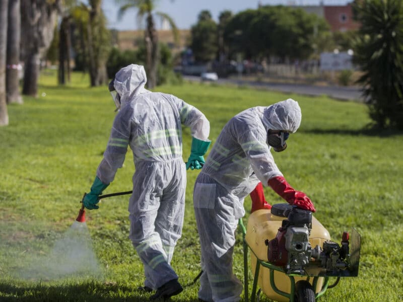 Archivo - Un trabajador durante las labores de fumigación contra los mosquitos causantes del virus del Nilo en Coria del Río - María José López - Europa Press - Archivo