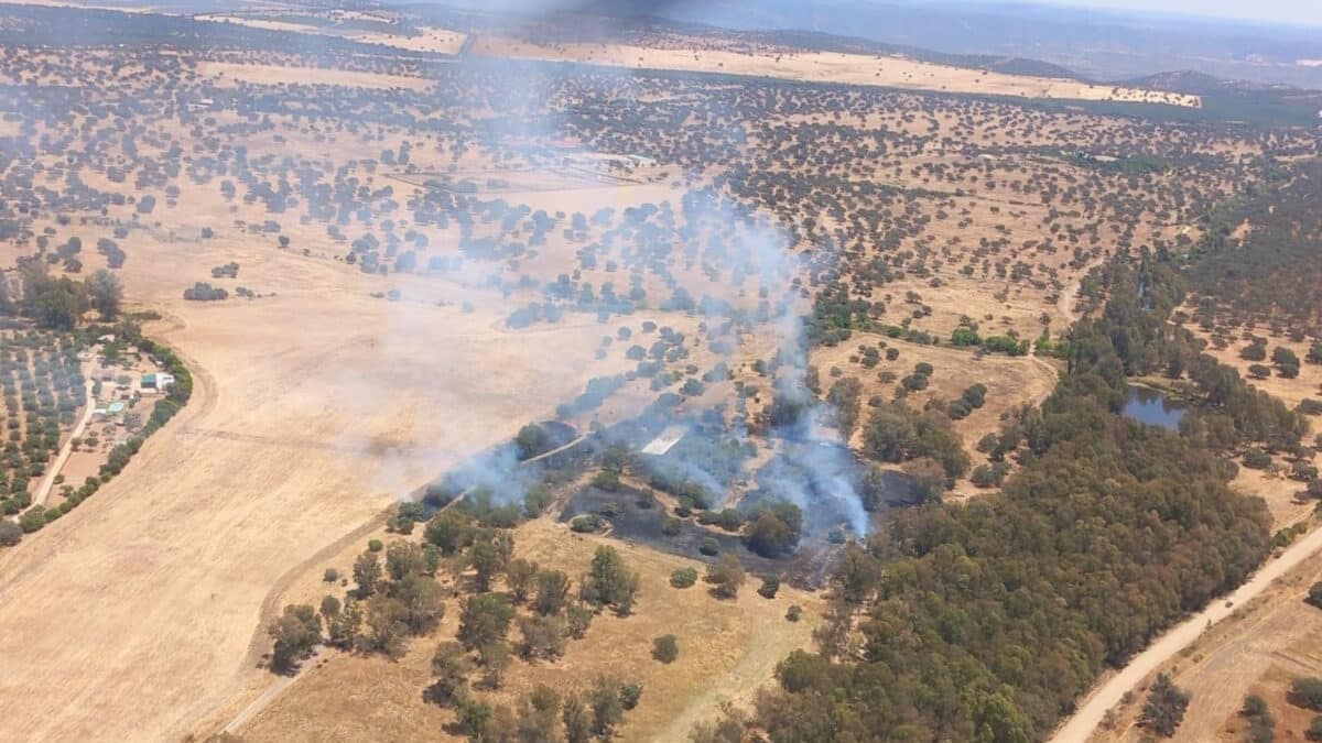 Imagen del incendio de Castilblanco - INFOCA