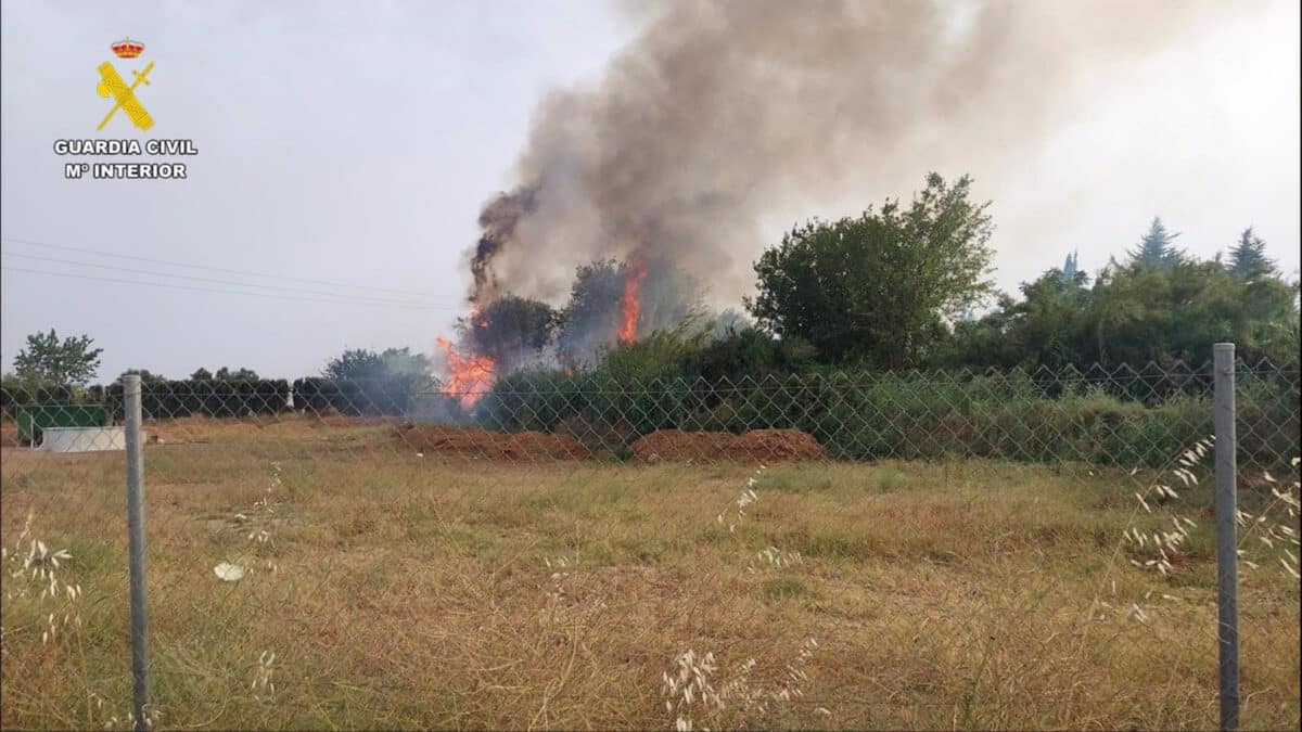 Imagen del incendio forestal en Lora del Río (Sevilla). - GUARDIA CIVIL