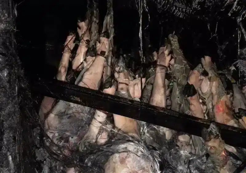 Imagen de los jamones cargados por el camión siniestrado - BOMBEROS DEL ALJARAFE