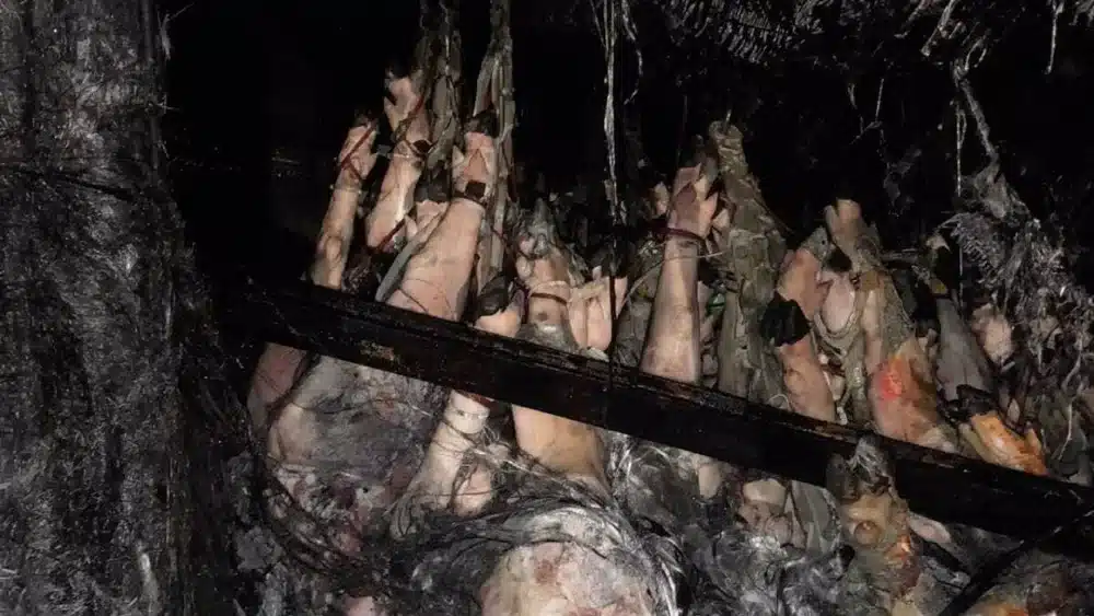 Imagen de los jamones cargados por el camión siniestrado - BOMBEROS DEL ALJARAFE