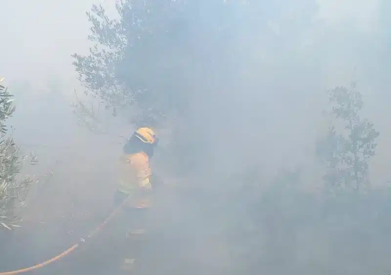 Imagen del incendio de Alanís - INFOCA