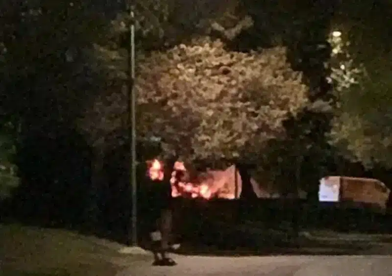 Incendio en el praque Guadaíra - ASOCIACIÓN PARQUE VIVO DEL GUADAÍRA