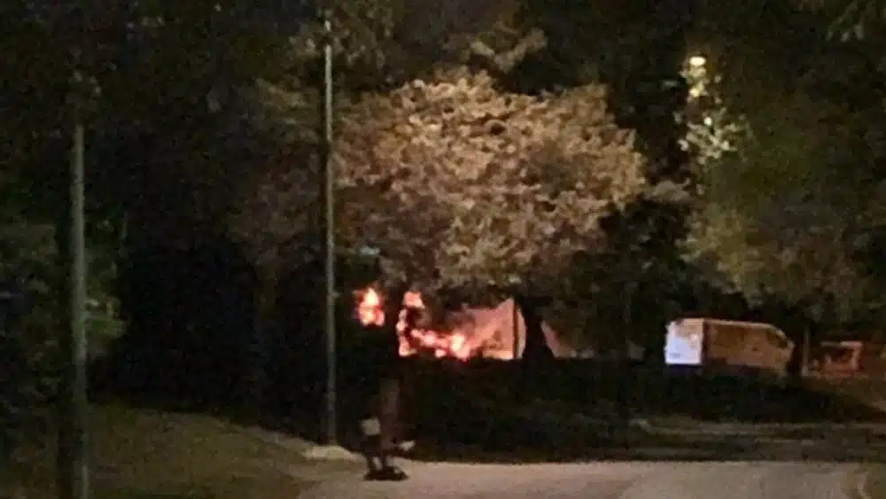 Incendio en el praque Guadaíra - ASOCIACIÓN PARQUE VIVO DEL GUADAÍRA