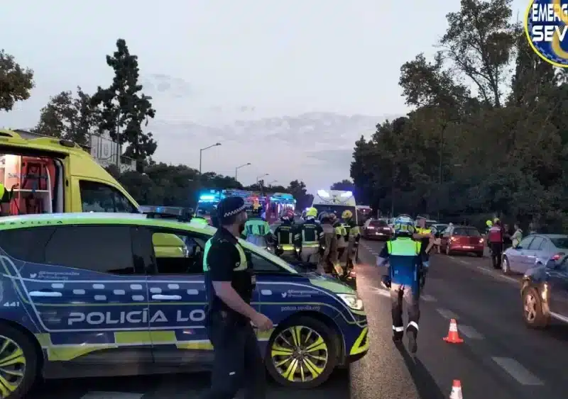Accidente en la avenida de la Palmera, en Sevilla capital. - AYUNTAMIENTO DE SEVILLA