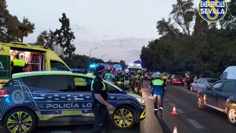 Accidente en la avenida de la Palmera, en Sevilla capital. - AYUNTAMIENTO DE SEVILLA
