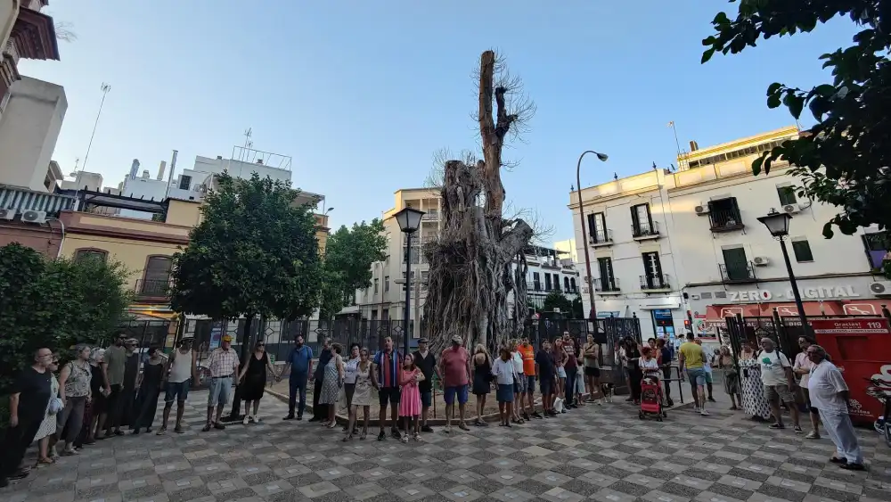 Concentración a los pies del ficus de San Jacinto - PLATAFORMA DEL FICUS DE SAN JACINTO