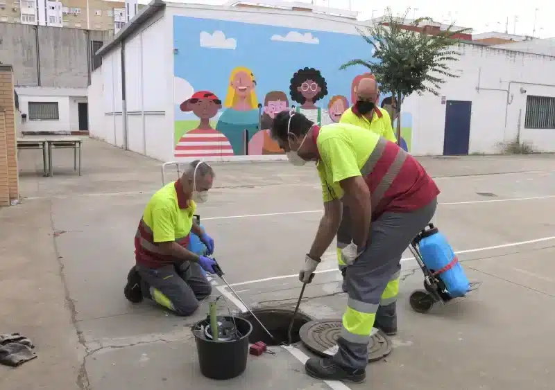 Trabajadores del Ayuntamiento llevando a cabo un plan sanitario en los colegios. Ayto. Sevilla