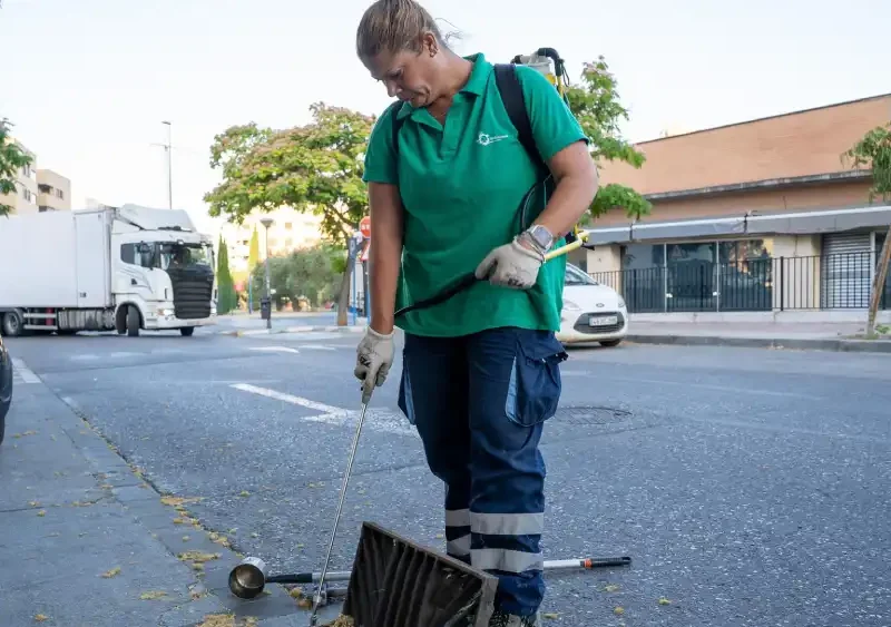 Labores de desinsección en Mairena del Aljarafe. - AYUNTAMIENTO DE MAIRENA DEL ALJARAFE