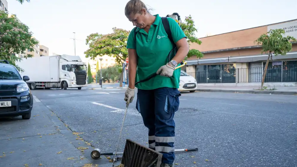 Labores de desinsección en Mairena del Aljarafe. - AYUNTAMIENTO DE MAIRENA DEL ALJARAFE