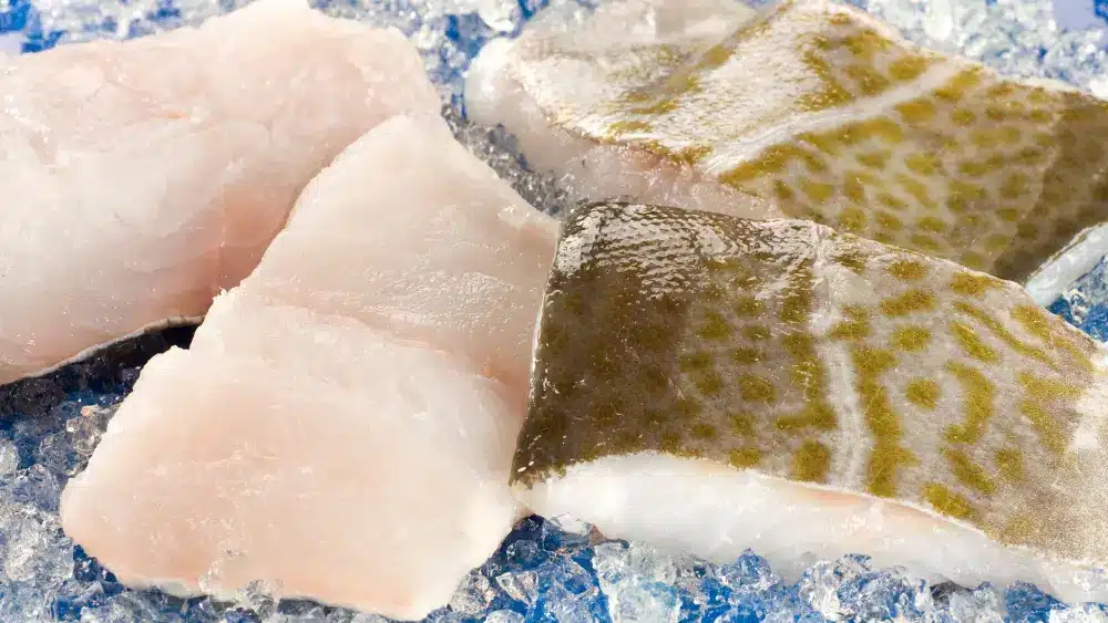 Imagen de archivo de lomos de bacalao