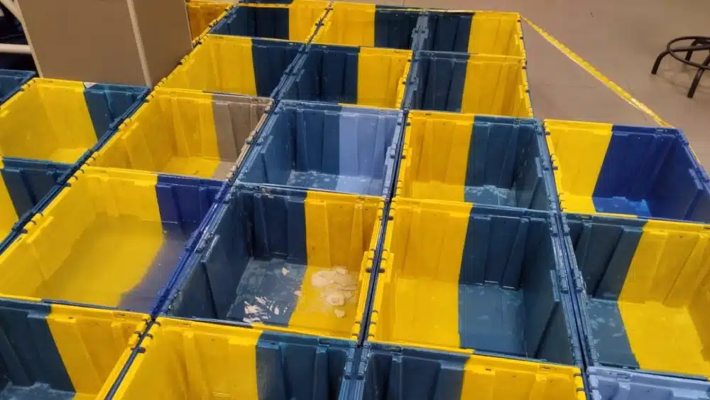 Cajas llenas de agua por las goteras en la unidad de reparto de Correos de San Benito en Sevilla. - CGT