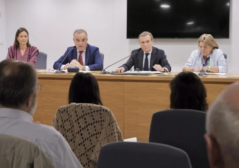 Juan Bueno, en el centro de la imagen, durante la presentación al CESS de la propuesta de ordenanzas fiscales del Ayuntamiento de Sevilla. - AYTO.DE SEVILLA
