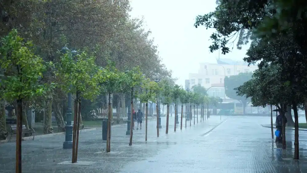 Una calle vacía bajo la intensa lluvia. A 11 de octubre de 2024, en Cádiz (Andalucía, España). - Joaquin Corchero - Europa Press