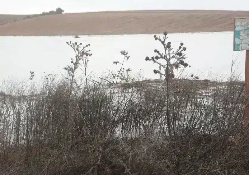 El río Guadiana a su paso por la SE-40. - Rocío Ruz - Europa Press