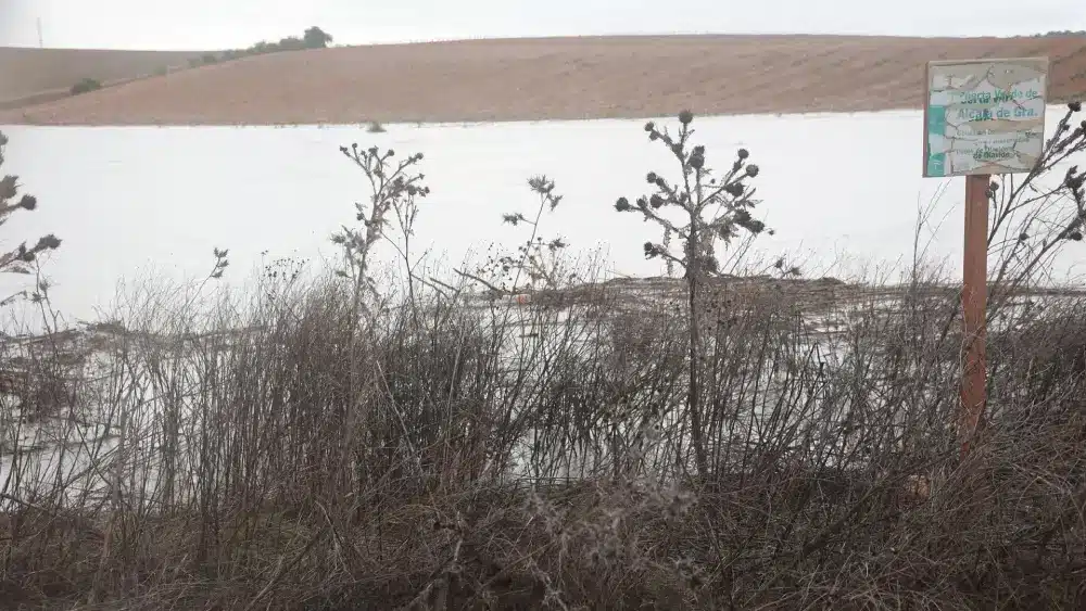 El río Guadiana a su paso por la SE-40. - Rocío Ruz - Europa Press