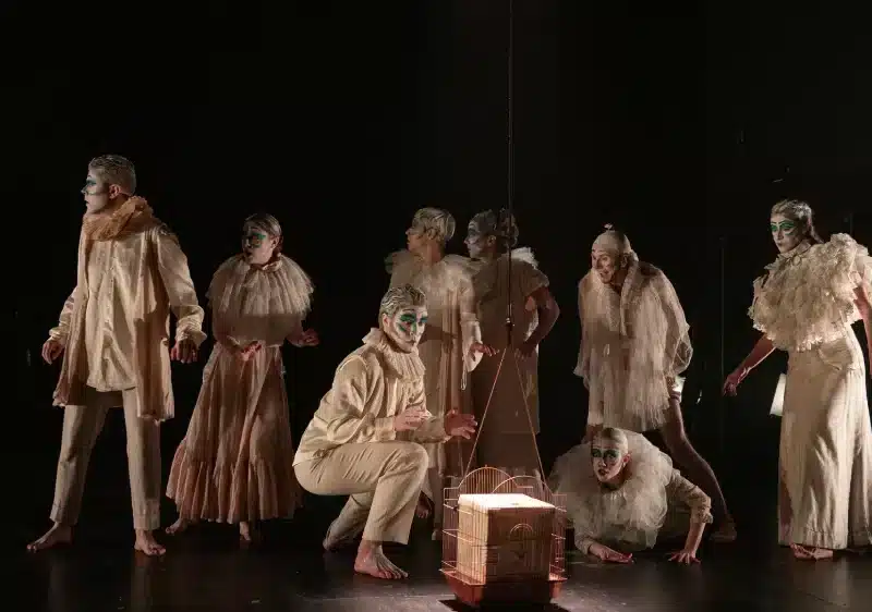 La obra «Del nido al nicho», de La incierta compañía. SA