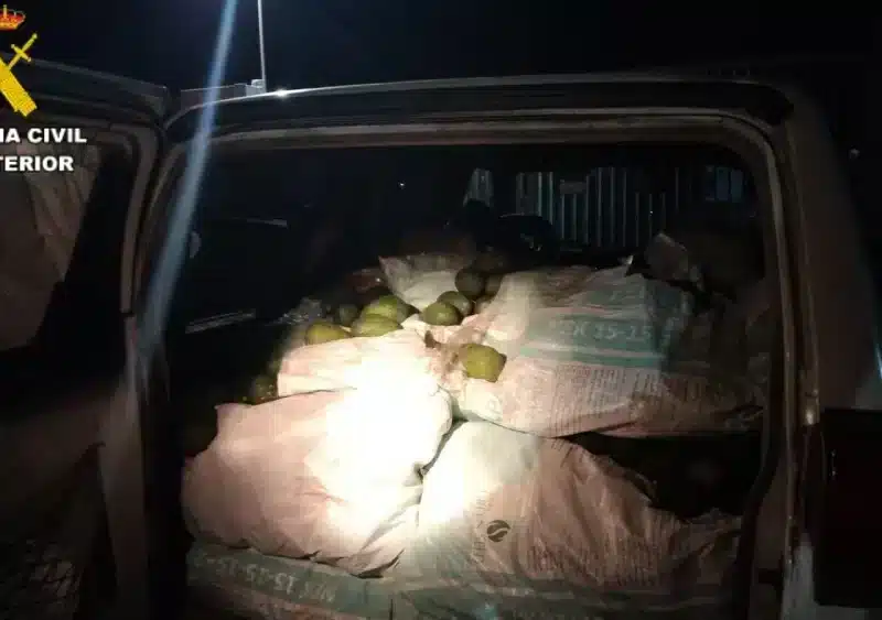Robo de aguacates en Utrera. Guardia Civil