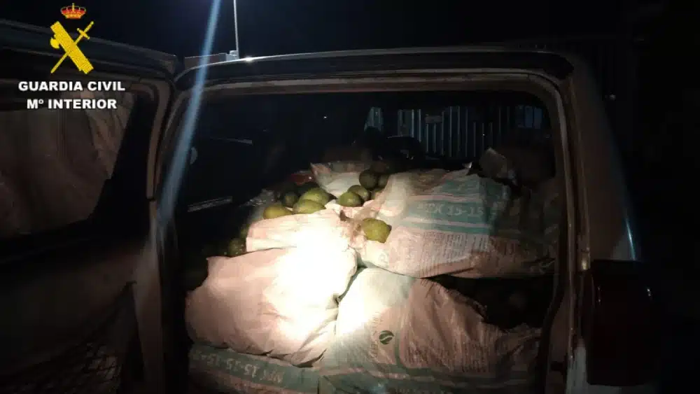 Robo de aguacates en Utrera. Guardia Civil