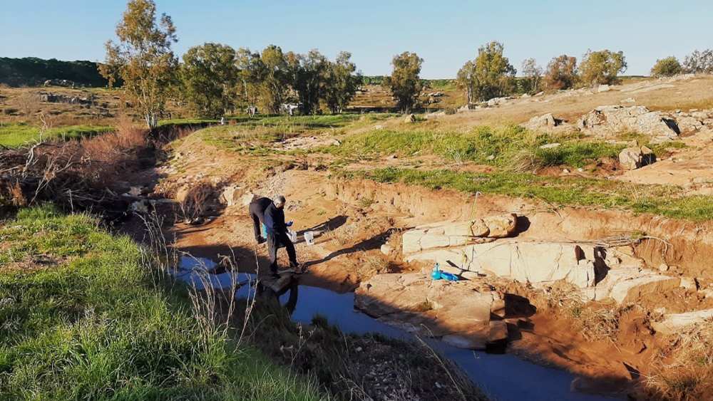 Archivo - Imagen de actuaciones de la CHG en un arroyo - CHG - Archivo