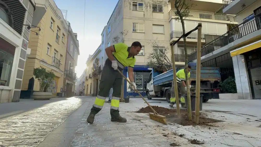 El Ayuntamiento de Sevilla planta los primeros árboles en la calle Zaragoza. (Imagen de archivo) - AYUNTAMIENTO DE SEVILLA