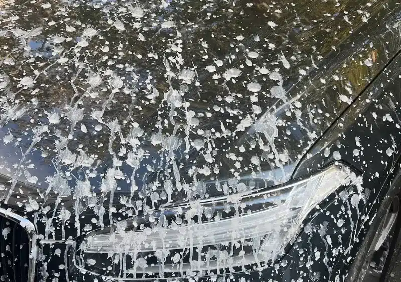 El coche del concejal de Vox vandalizado. Redes sociales