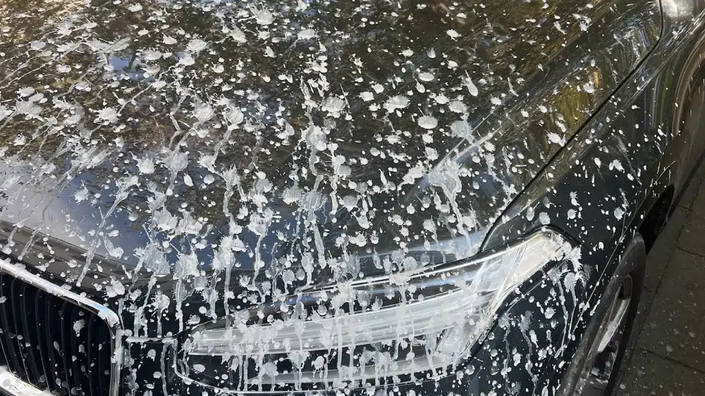 El coche del concejal de Vox vandalizado. Redes sociales