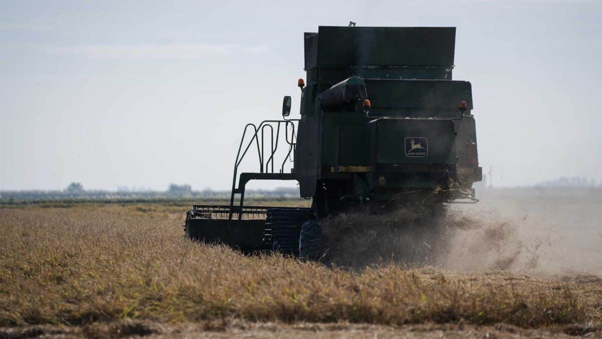 Cosechadora de arroz durante la recolecta en las marismas del Guadalquivir el pasado año en Sevilla. - María José López - Europa Press