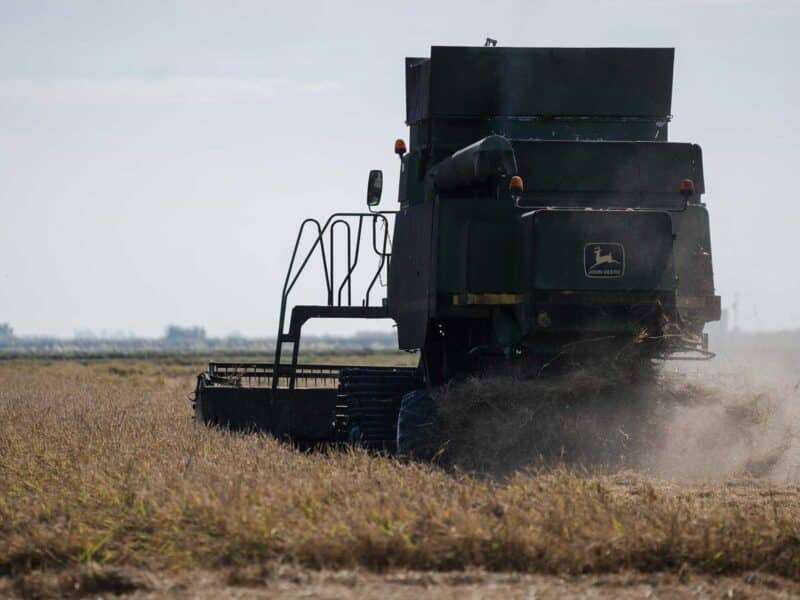 Cosechadora de arroz durante la recolecta en las marismas del Guadalquivir el pasado año en Sevilla. - María José López - Europa Press