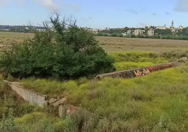 Archivo - Imagen de la dehesa de Tablada con el casco urbano de San Juan al fondo - EUROPA PRESS - Archivo