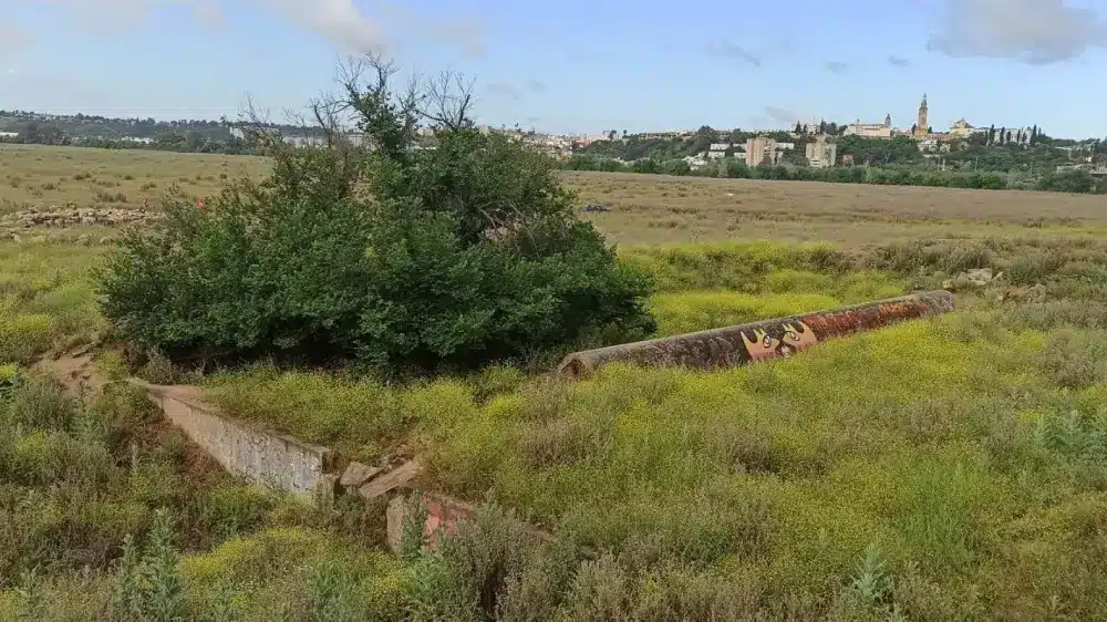 Archivo - Imagen de la dehesa de Tablada con el casco urbano de San Juan al fondo - EUROPA PRESS - Archivo