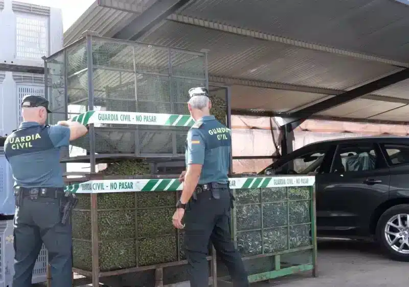 Imagen de la intervención de la Guardia Civil en Arahal - GUARDIA CIVIL