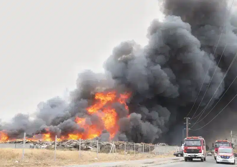 Archivo - Imagen de archivo de un incendio en la provincia de Sevilla - Jesús Prieto - Europa Press - Archivo