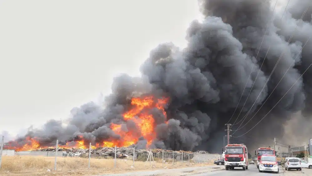 Archivo - Imagen de archivo de un incendio en la provincia de Sevilla - Jesús Prieto - Europa Press - Archivo