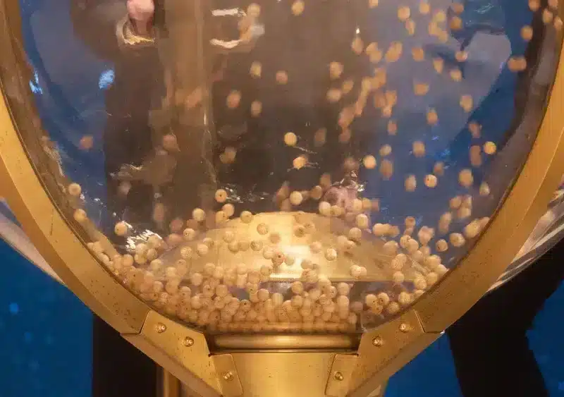 Preparación del bombo antes de la celebración del Sorteo Extraordinario de la Lotería de Navidad 2024, en el Teatro Real, a 22 de diciembre de 2024 - Eduardo Parra - Europa Press