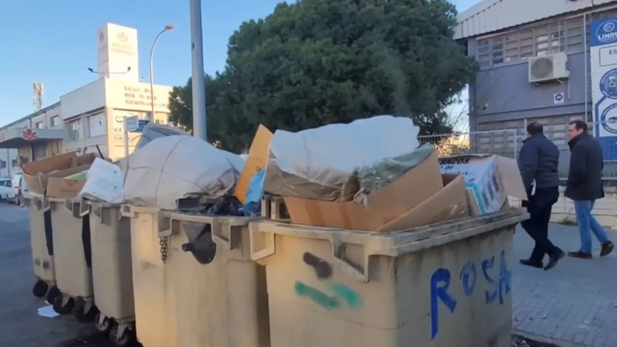 Contenedores desbordados de basura a plena luz del día. - PSOE