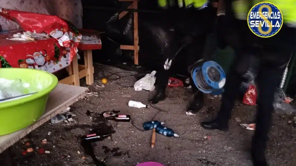 Dispositivo de la Policía Local de Sevilla para desmantelar fiestas no autorizadas en Nochebuena en la barriada de Torreblanca - POLICÍA LOCAL