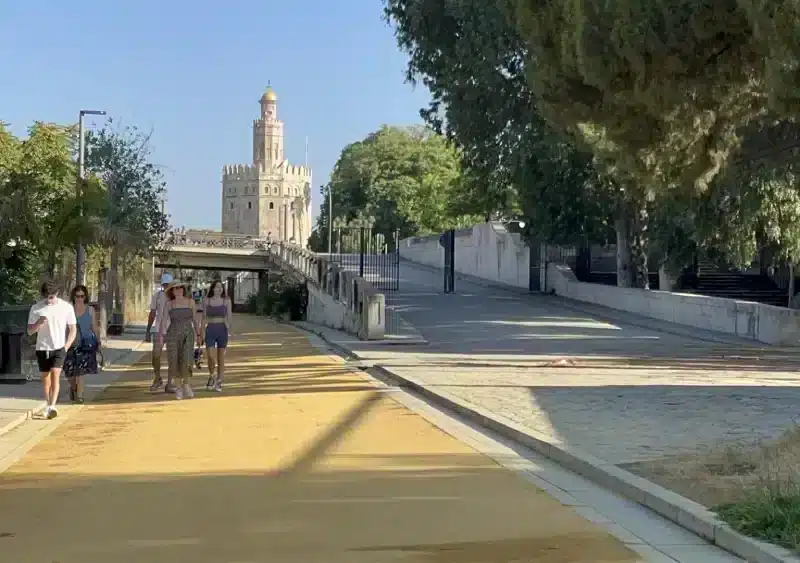 Muelle de Nueva York en Sevilla, donde sucedieron los hechos - PUERTO DE SEVILLA - Archivo