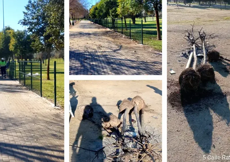 Parque Vega de Triana