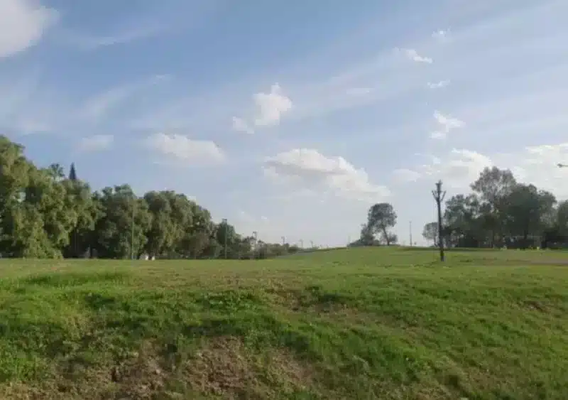 El sector afectado por las obras con una cobertura de árboles inferior a la anterior. - ASOCIACIÓN PARQUE VIVO DEL GUADAÍRA