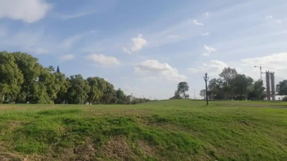 El sector afectado por las obras con una cobertura de árboles inferior a la anterior. - ASOCIACIÓN PARQUE VIVO DEL GUADAÍRA